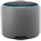 echo plus